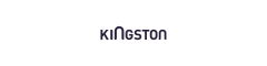 Kingston Logo